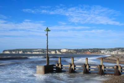 Pebble Beach Seaton image
