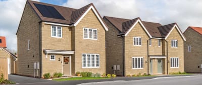Somerton Mead image