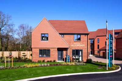 Allium Park Ripley image