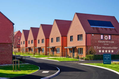 Allium Park Ripley image