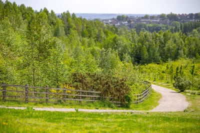 Hawksley Rise image