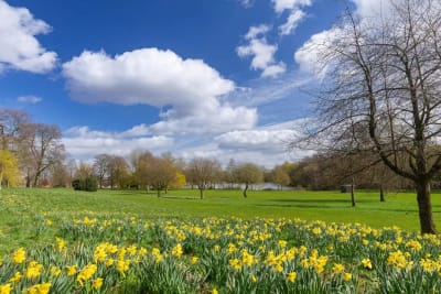 Brierley View image