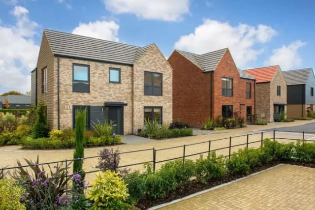 Westerfield Grove
