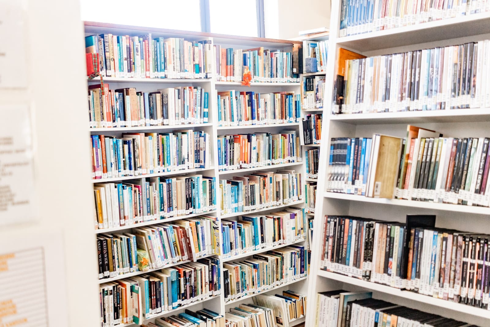 Rows of books on library shelves — a visual for curated family resources