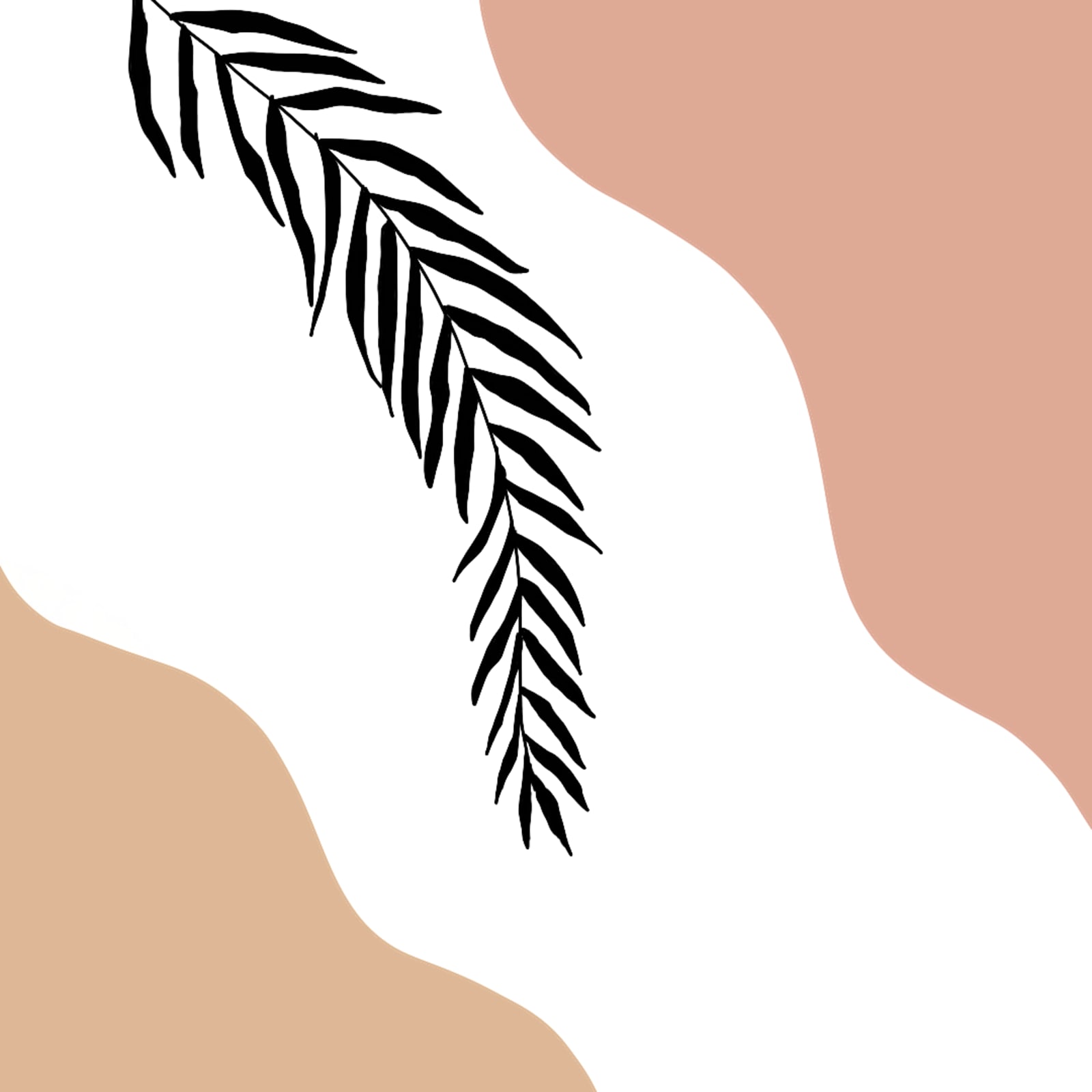 Palm Branch Shapes