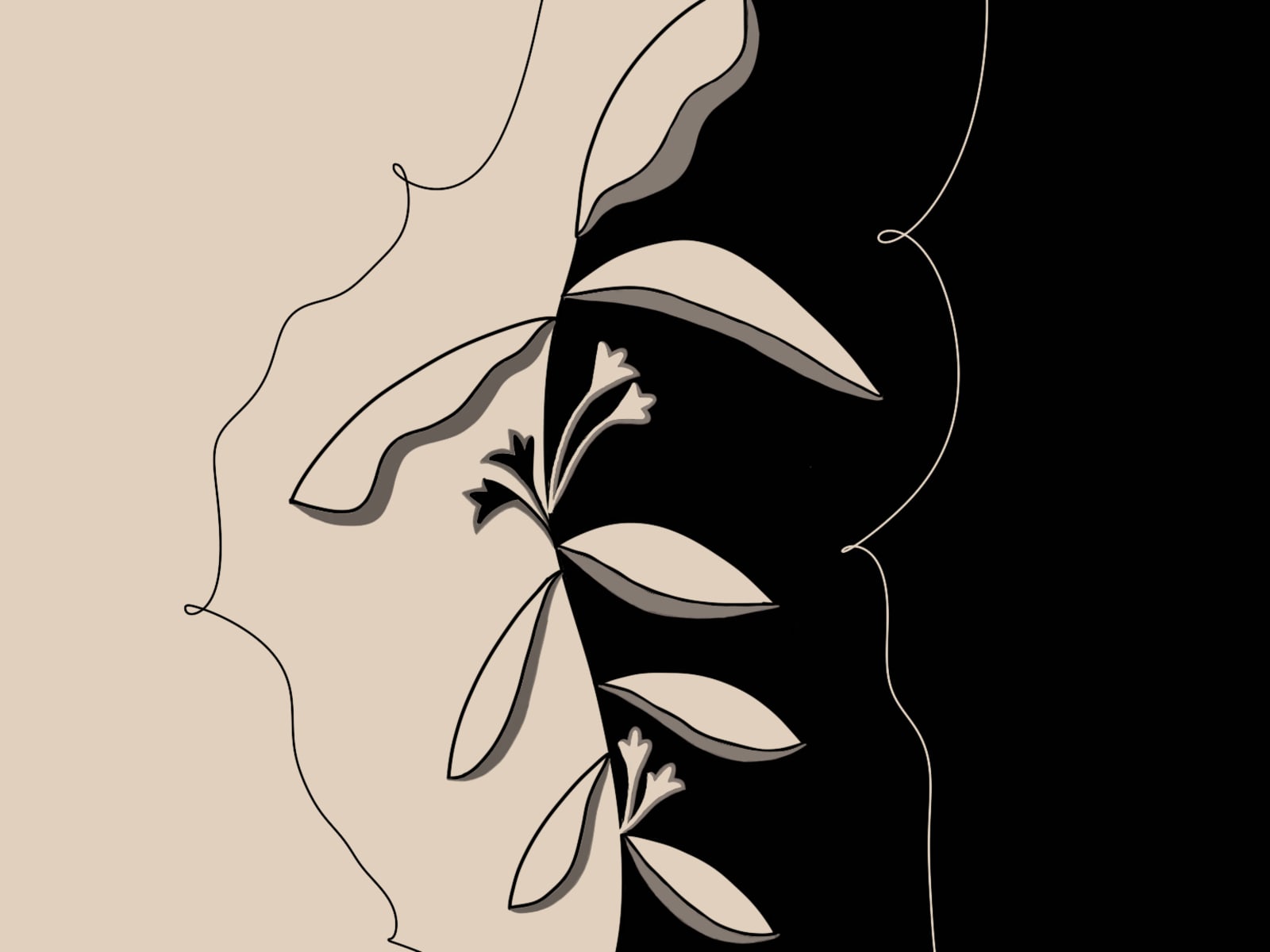 Floral Division Artwork