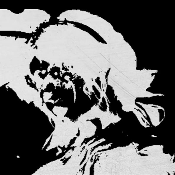 BERENICE: Videogame