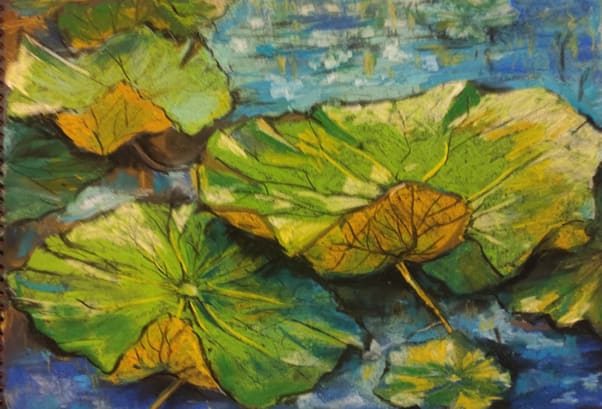 Lotus lake, 2024 by Sadaf Hammad