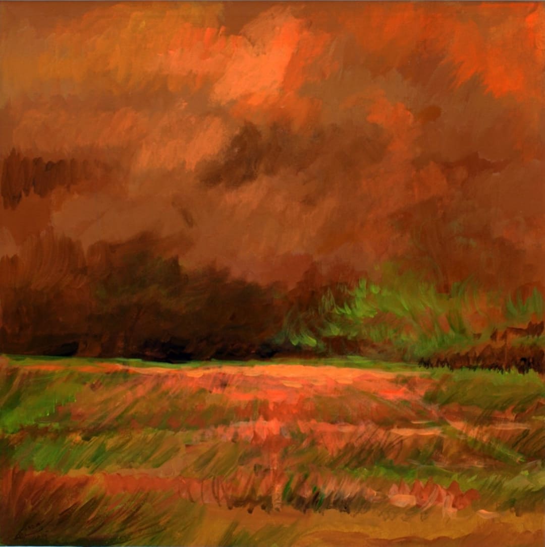 The Dust Storm, 2014 by Sadia Murtaza
