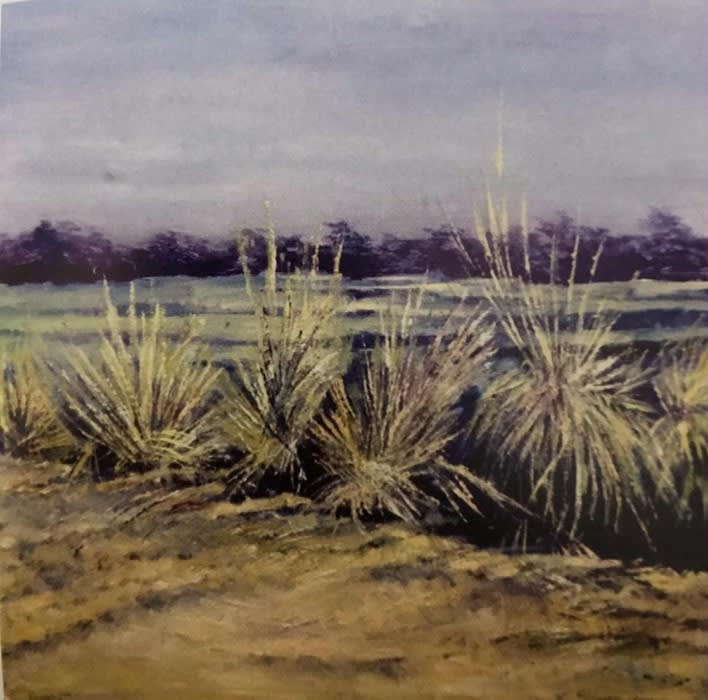 Bulrushes(Annual Exhibition 2016), 2016 by Sadia Qutub Hashmi