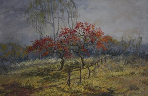SEPIUM TREES IN ISLAMABAD by Shehla Farooq