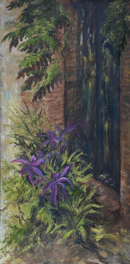 DRYCENIA by Shehla Farooq