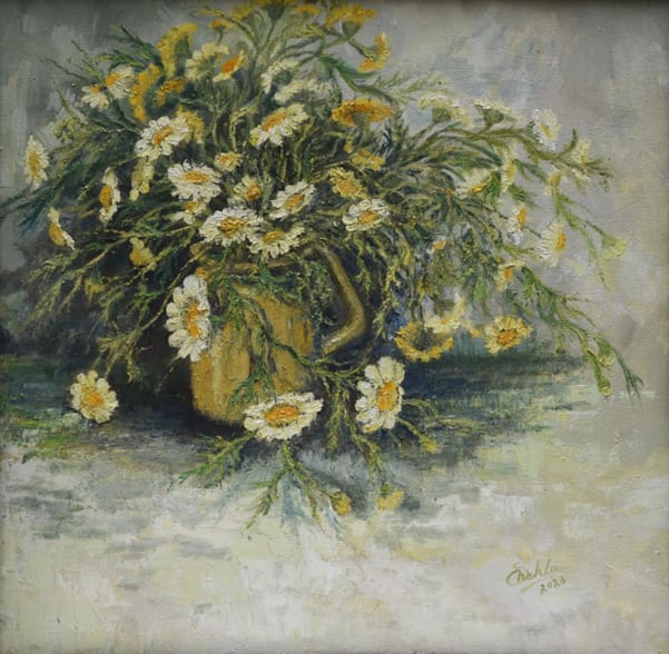 DAISIES by Shehla Farooq
