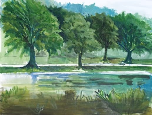Plain air painting was painted in Houston, Texas, 2024 by Rifaat Saif Dar