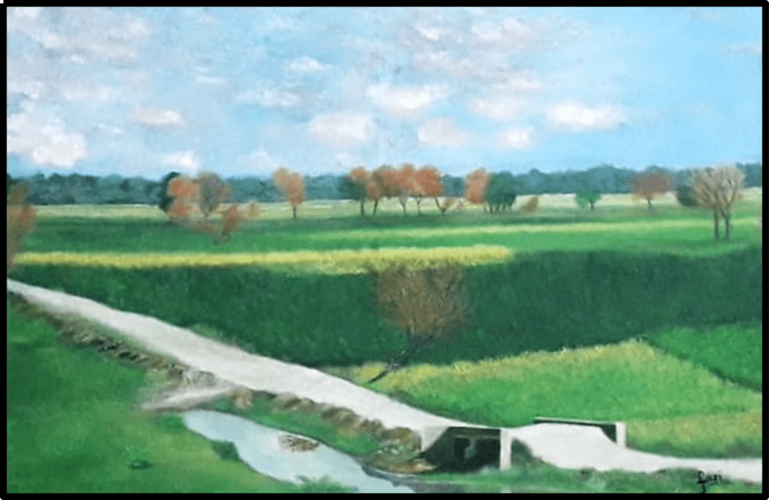 A PASSAGE THROUGH FIELDS by Samina Nasir