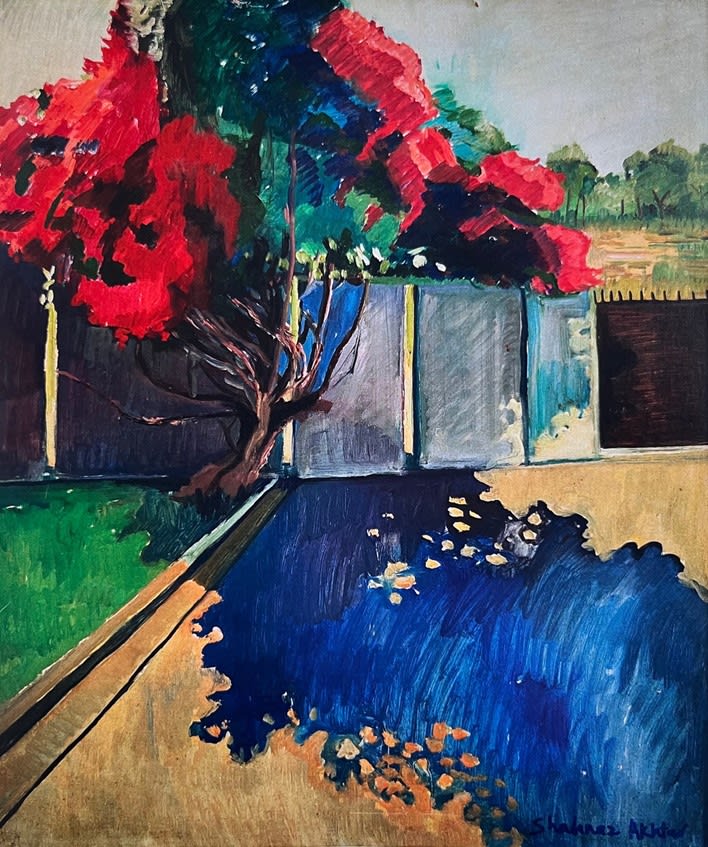 Bougainvillea in Bloom by Shahnaz Akhtar