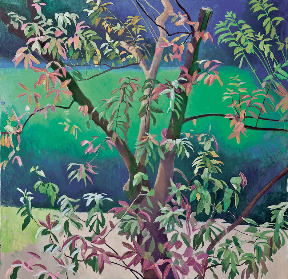 Amrood, 2003 by Ijaz ul Hassan