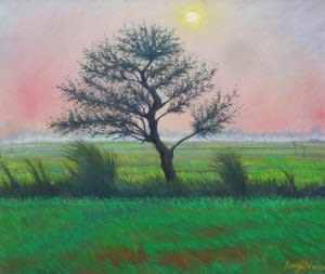 Untitled by Amjad Naeem