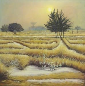 Untitled by Amjad Naeem