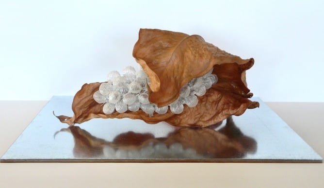 Habitats Unknown, 2019 by Saberah Malik