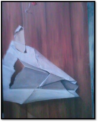 A paper plane torn from one side by Amna Ahmad