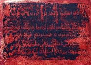 Bleeding Borders by Amin Rehman