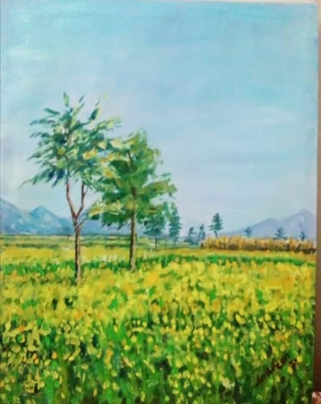 Mustard fields