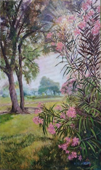 Oleanders Bloom