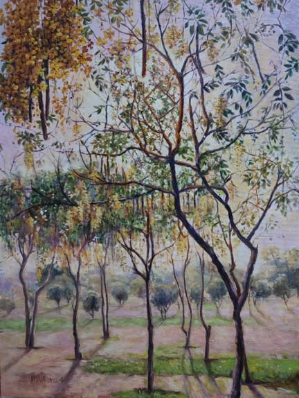 Amaltas-2