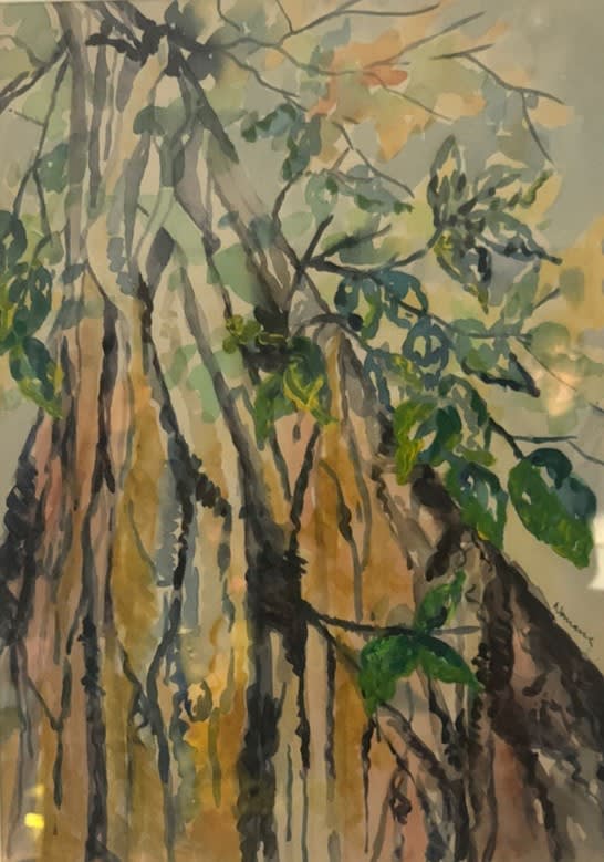 Tree in close up
