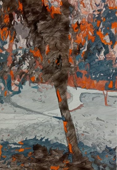 Siver spring