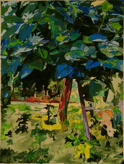 Trees in the garden