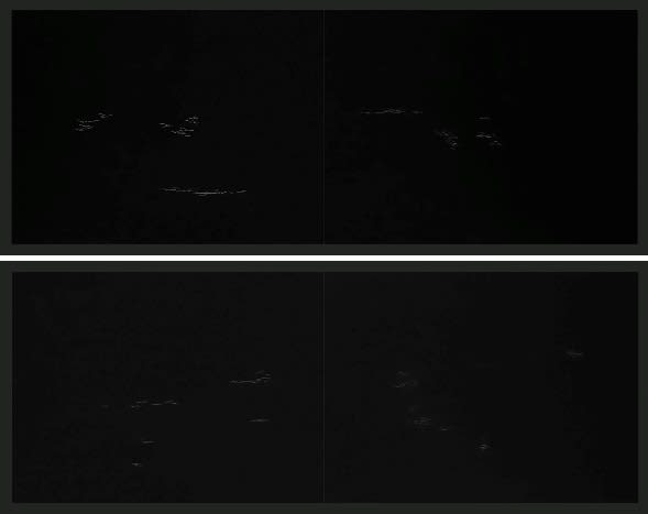 Mirror Image III: a, b (diptych)