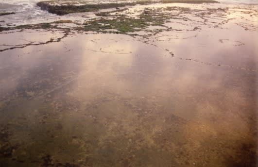 Beruwela