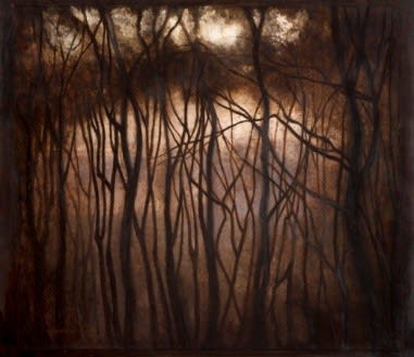 A Symphony Of Tree’s