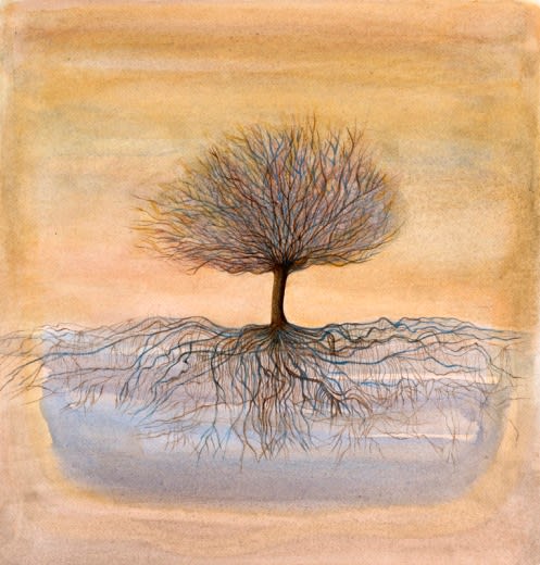 Enchanted Tree