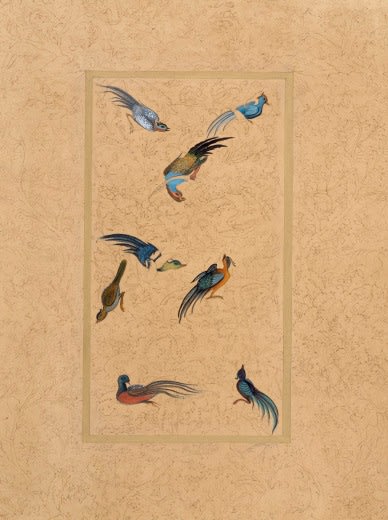 Enchanted Birds