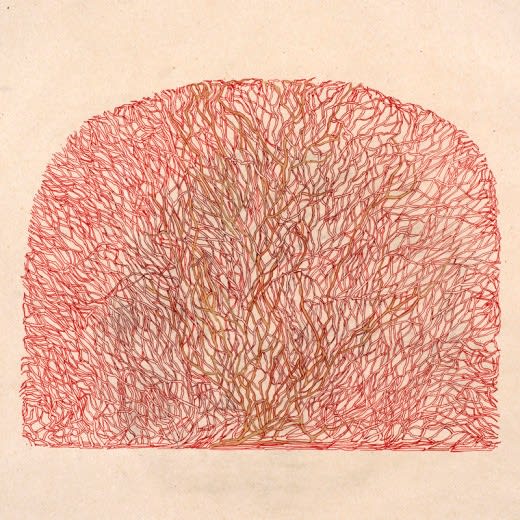 Branches in red