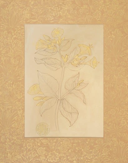 Floral Study