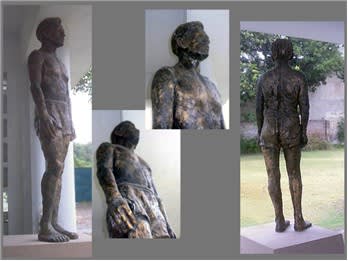 Human Figure