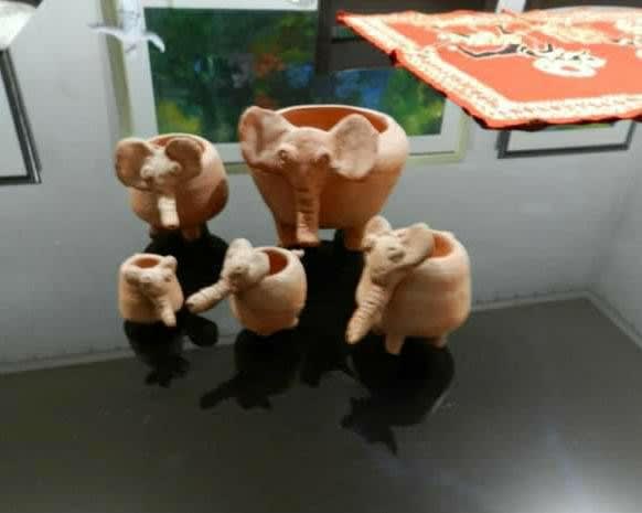 Elephants