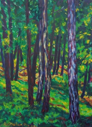 The Woods