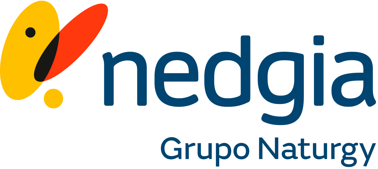 Nedgia - Colaborador