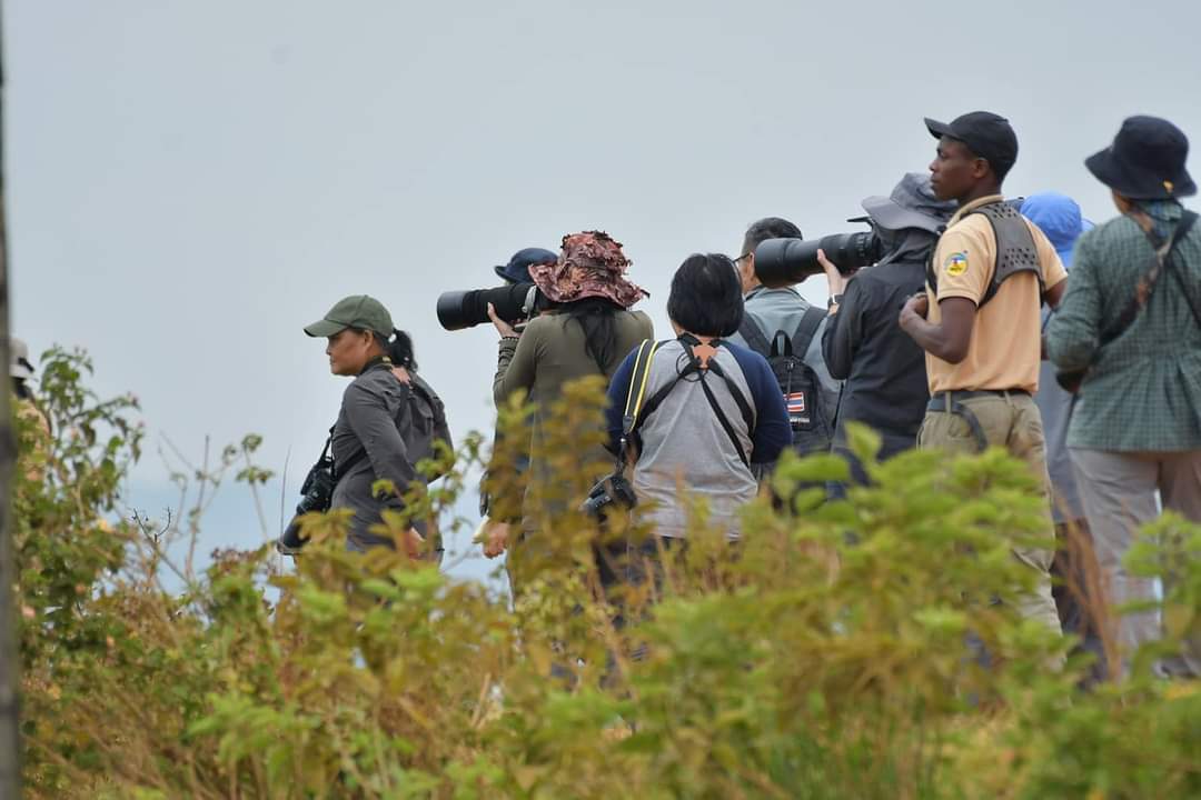 9 Days Birding Safari Tour Rwanda and Uganda