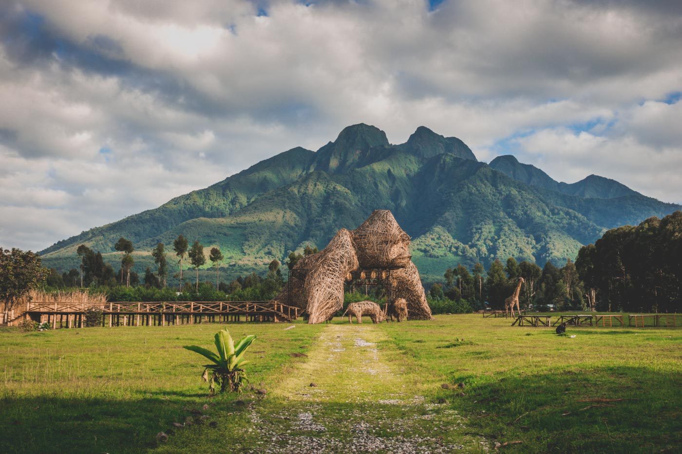 4 DAYS GORILLA TREKKING & GOLDEN MONKEYS SAFARI EXPERIENCE IN RWANDA