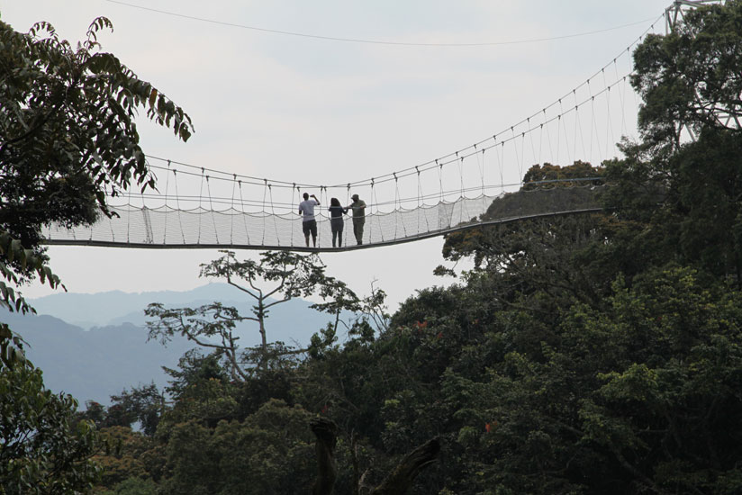 3 DAYS RWANDA JUNGLE & LAKE PARADISE – CHIMPANZEES, CANOPY WALK & ISLAND ESCAPE