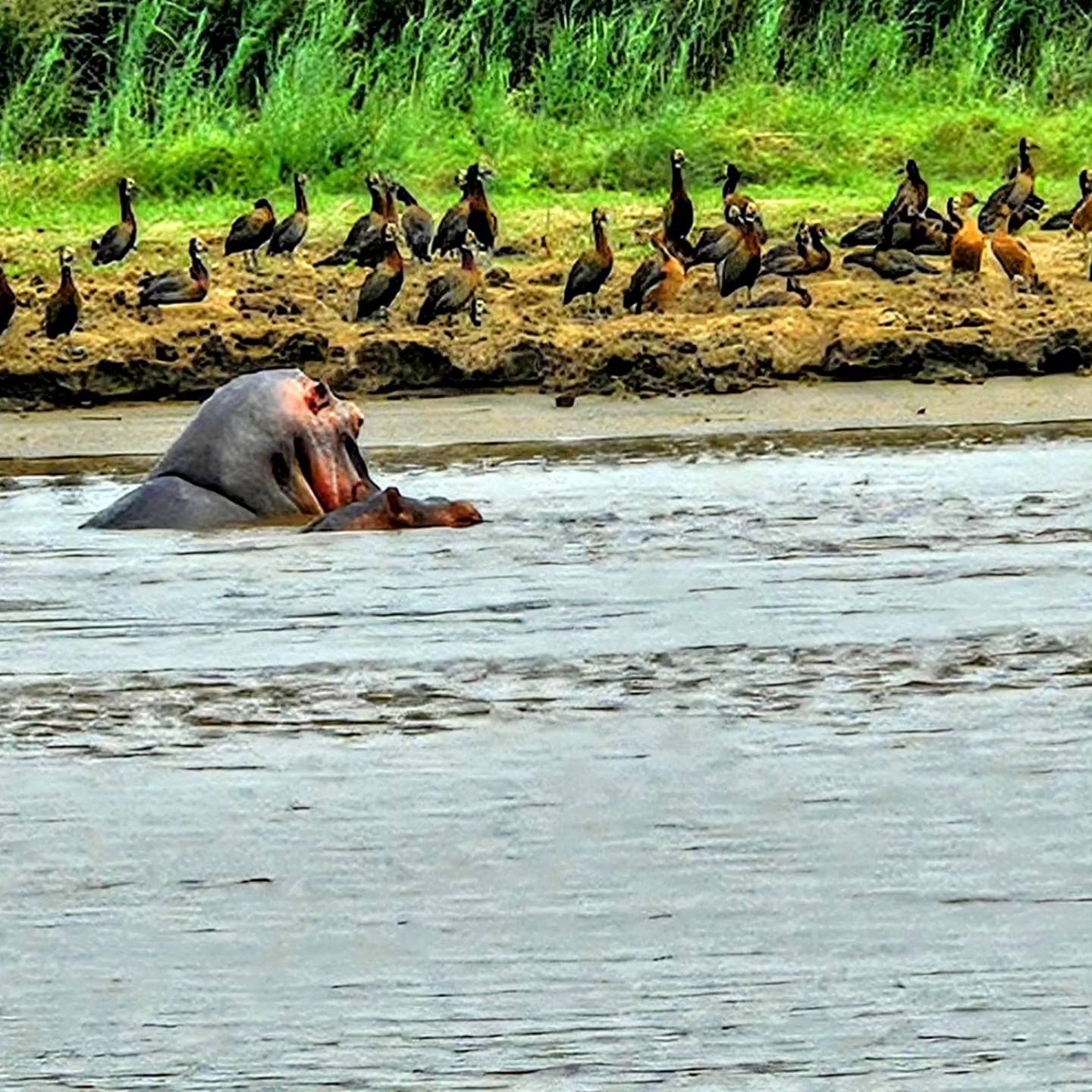 Explore Bujumbura