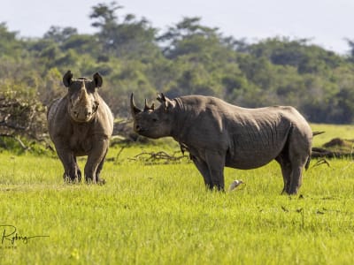 3 Remarkable days camping with Daniel