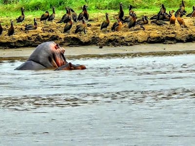 Explore Bujumbura