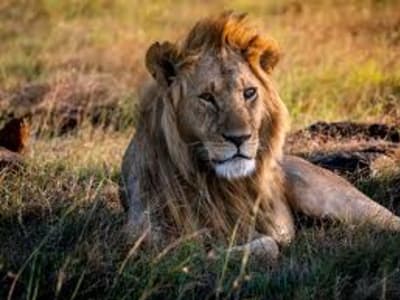 Akagera National Park